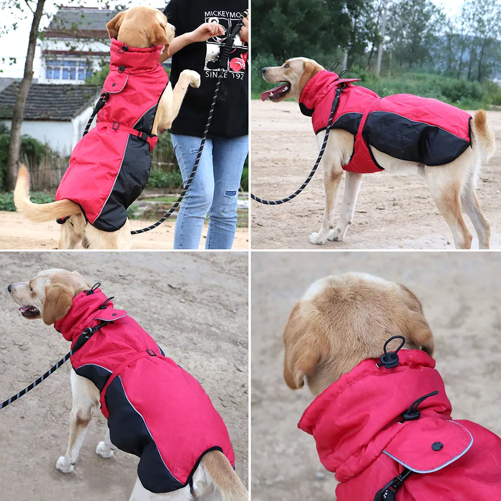 Waterproof Jacket For Labrador