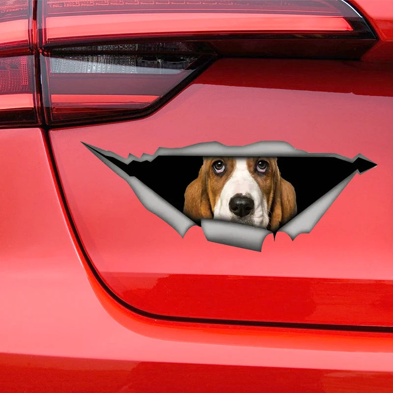 Basset Hound Peeking Car Sticker