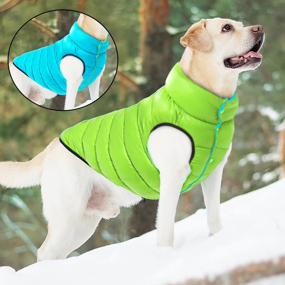 Labrador Warm Winter Vest