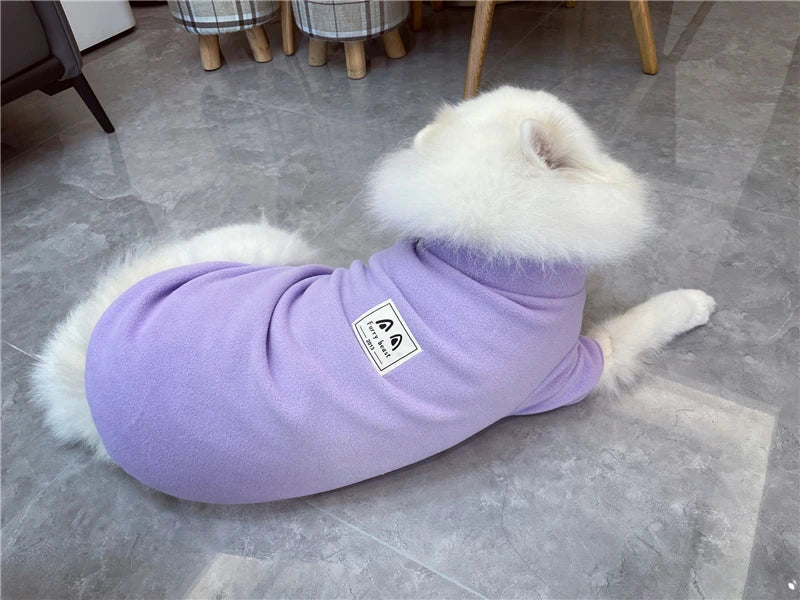 Samoyed Fashion Winter Dress