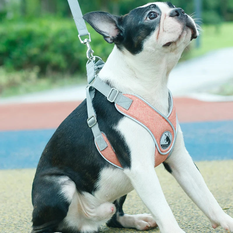 Soft Adjustable Dog Harness