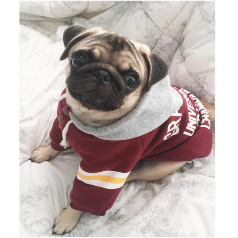 Fashion Hoodies for Pug