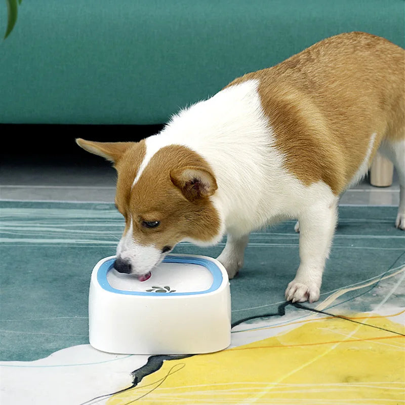 No-Spill Pet Water Bowl