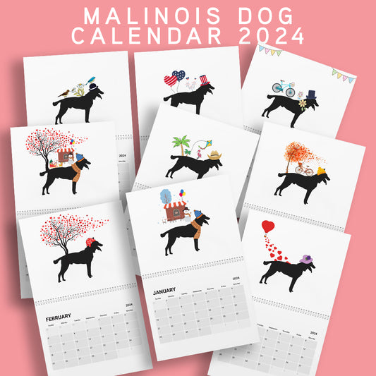 Malinois Wall Calendar 2024