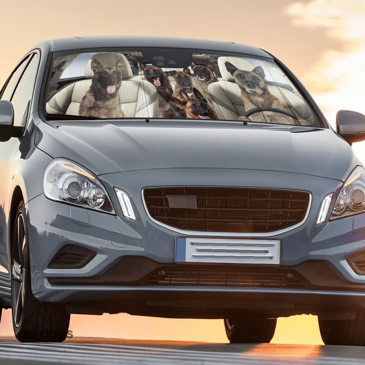 Malinois Family Car Sunshade