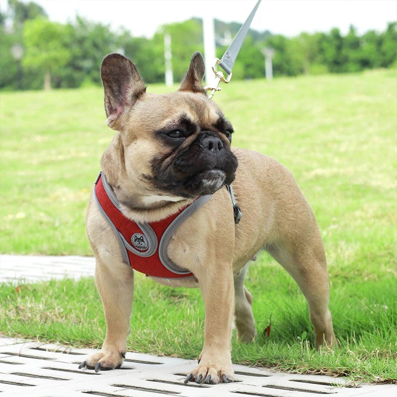 Soft Adjustable Dog Harness