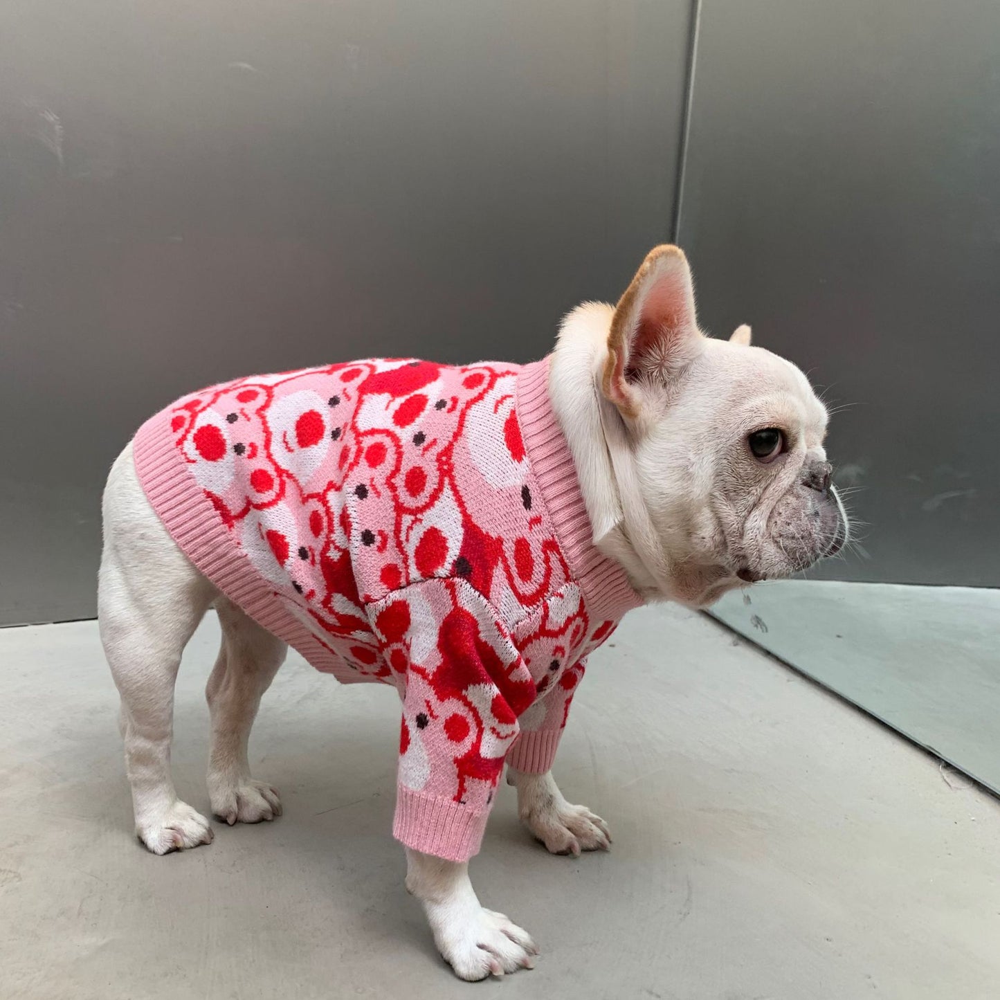 French Bulldog Winter Designer Outfits