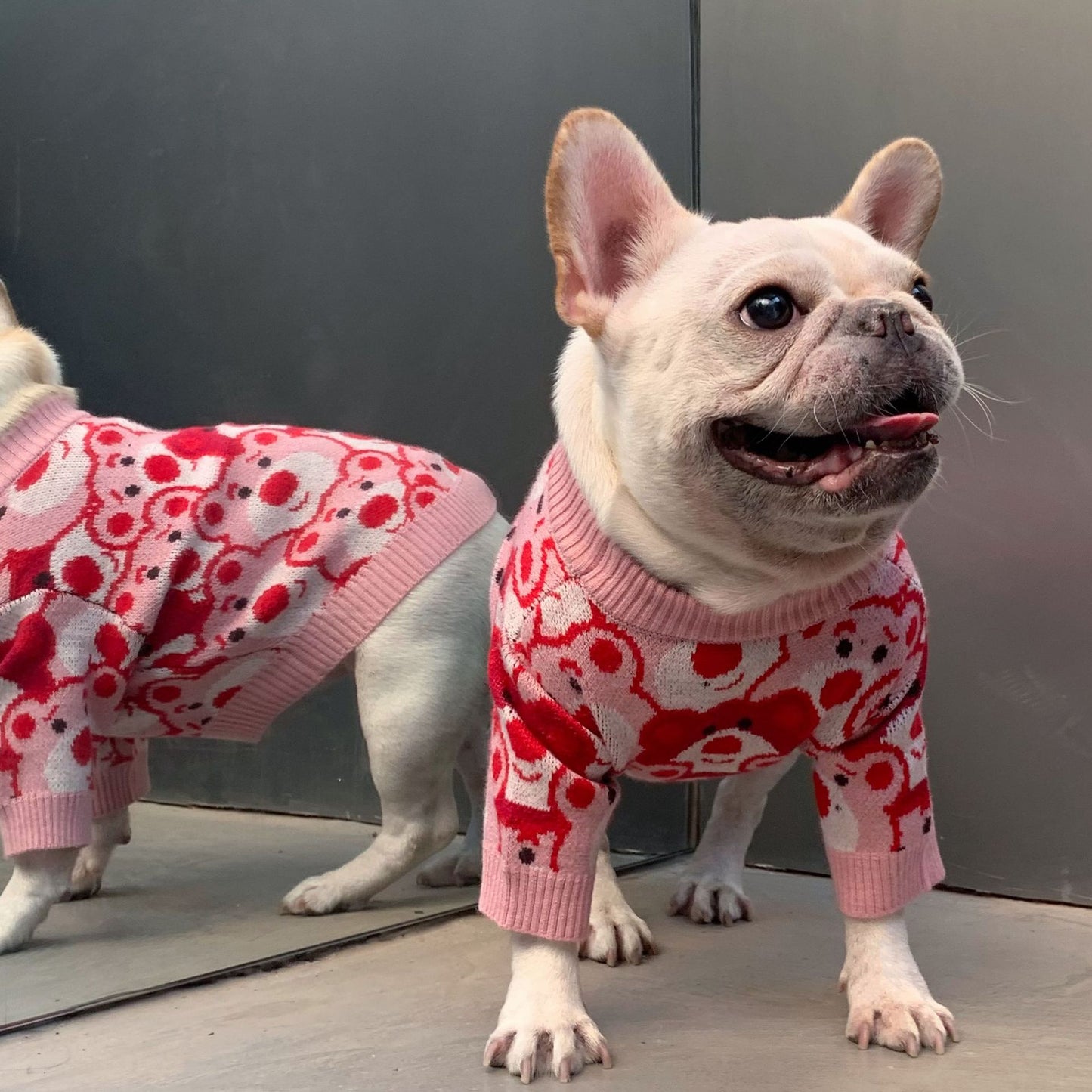 French Bulldog Winter Designer Outfits