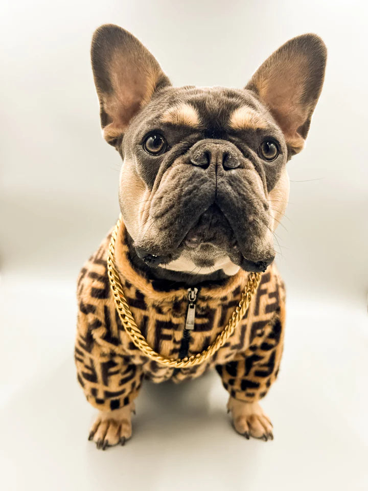 Frenchie Designer Winter Teddy Coat