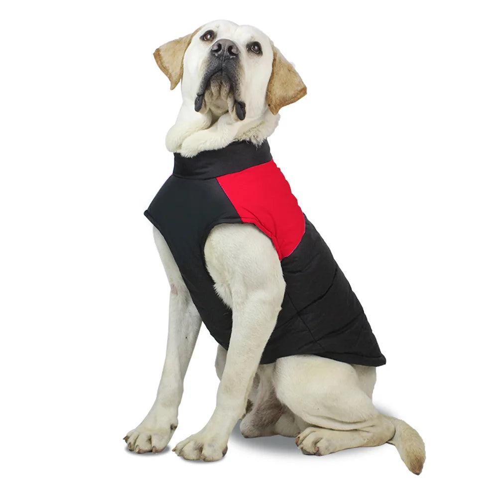 Labrador Winter Dog Jackets