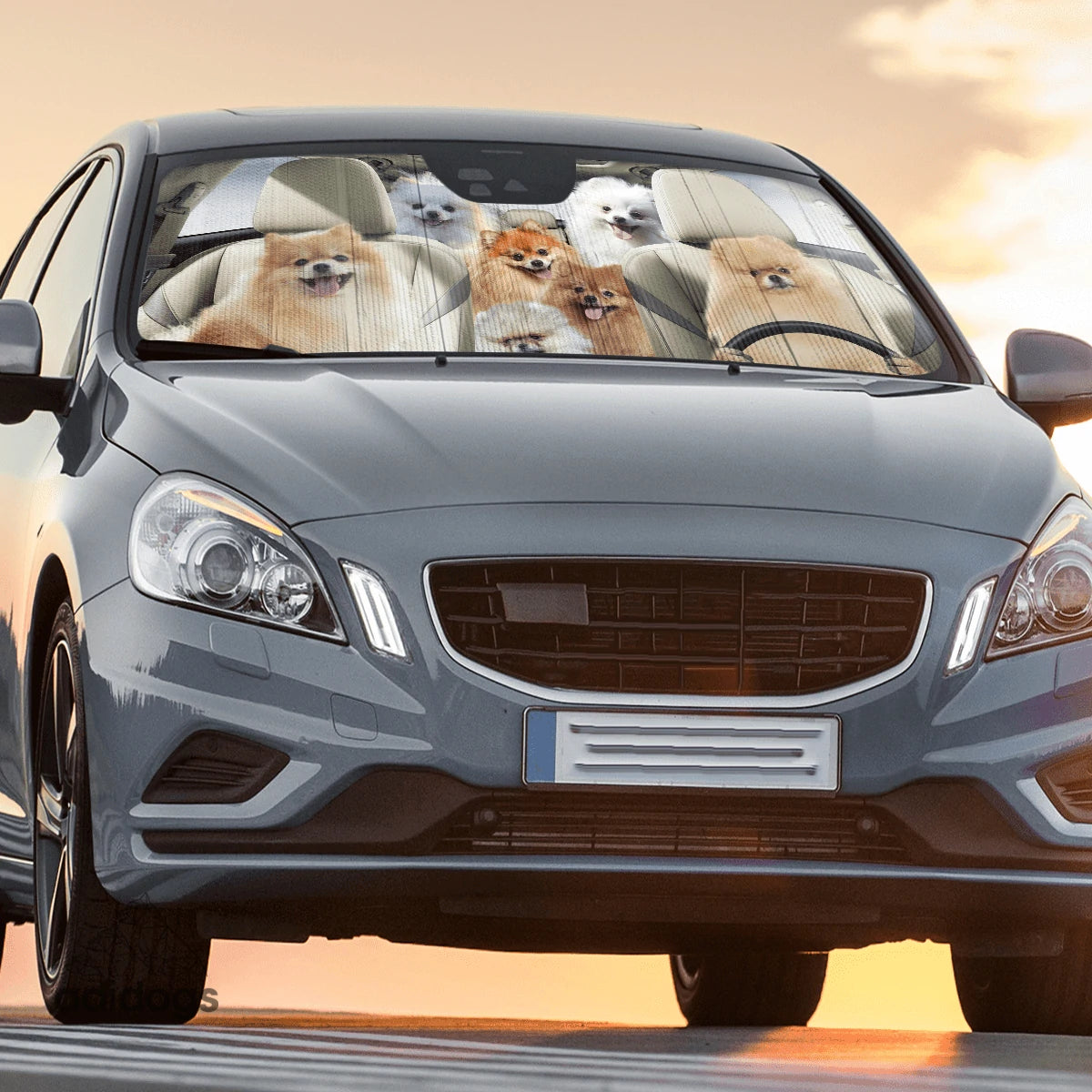 Pomeranian Family Car Sunshade