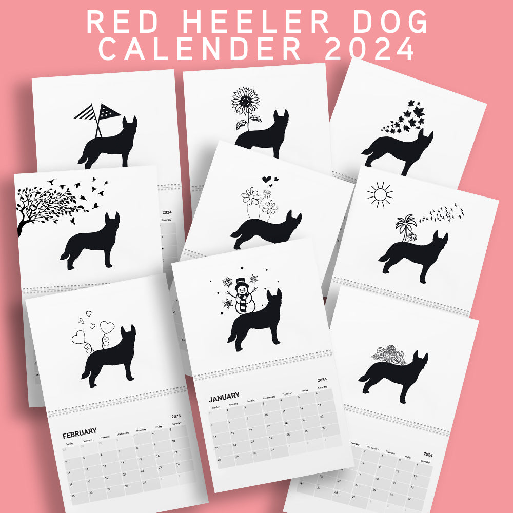 Red Heeler Calendar 2024 Adidogs