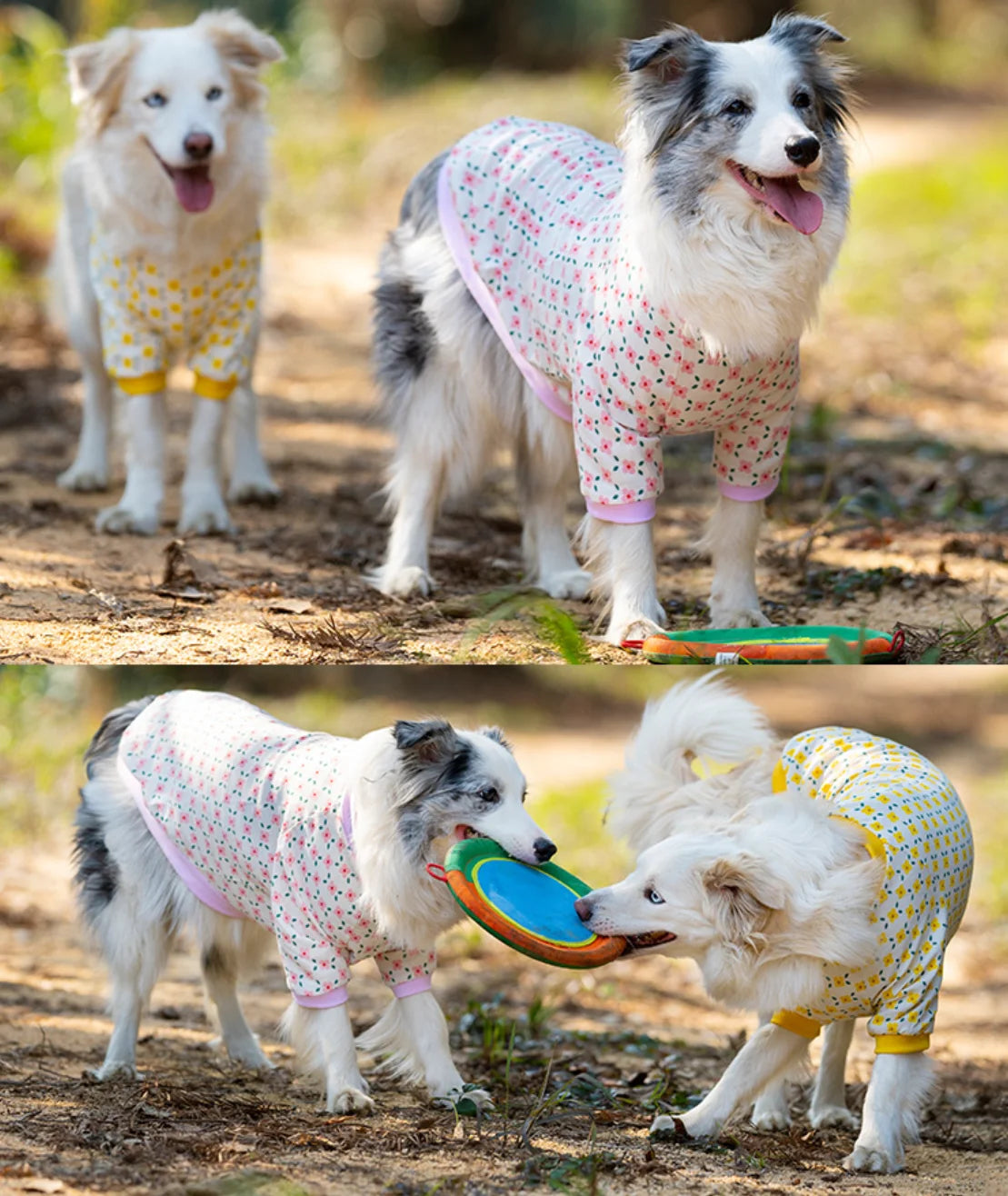 Aussie Short Sleeved Spring Sweater