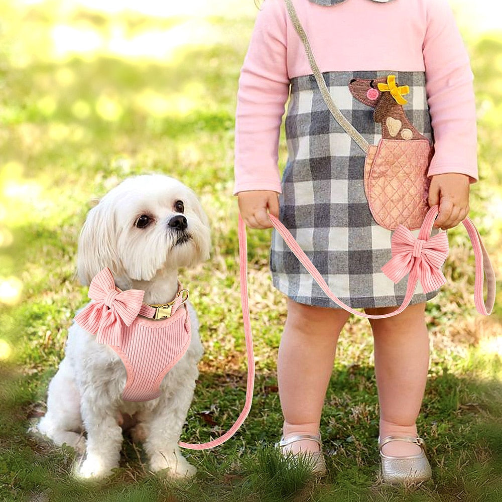 Small & Medium Dog Harness & Leash Set