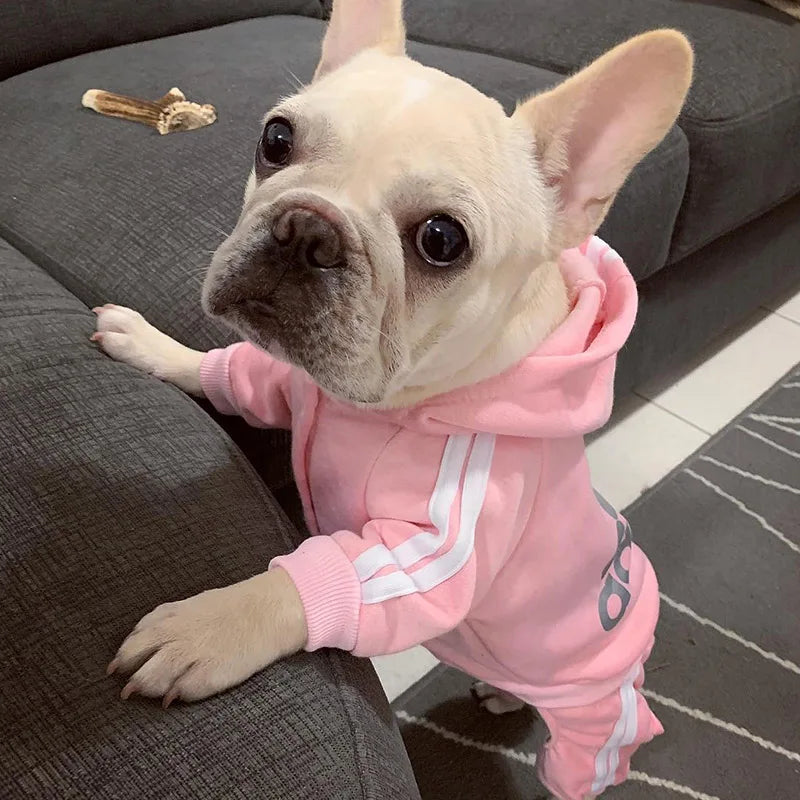 Frenchie Comfy Winter Hoodies