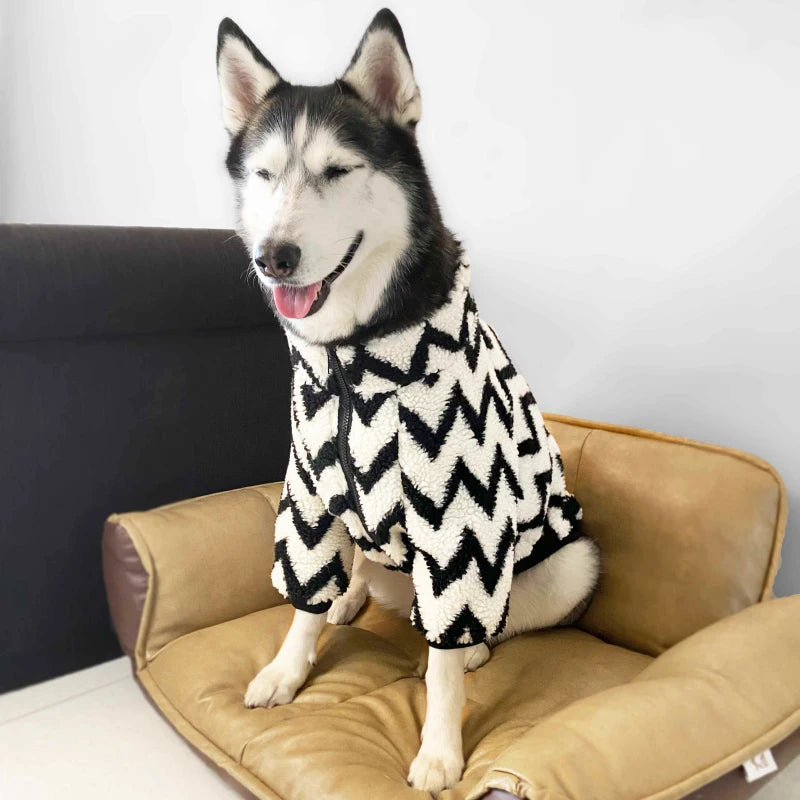 Husky Striped Winter Jacket