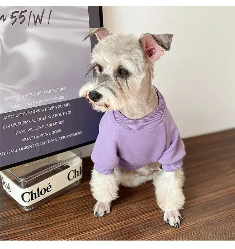 Schnauzer GAP Fashion Dress