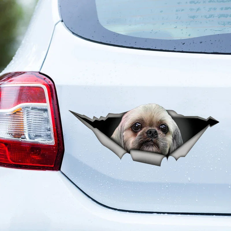 Adorable Shih Tzu Car Sticker