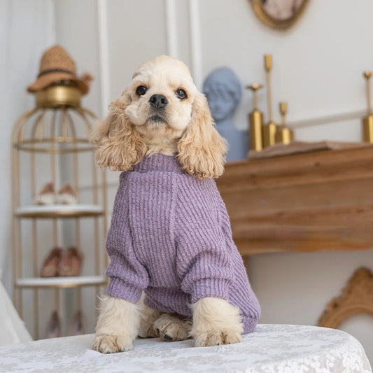 Cocker Spaniel Knitted Sweater