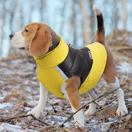 Beagle Warm Winter Jacket