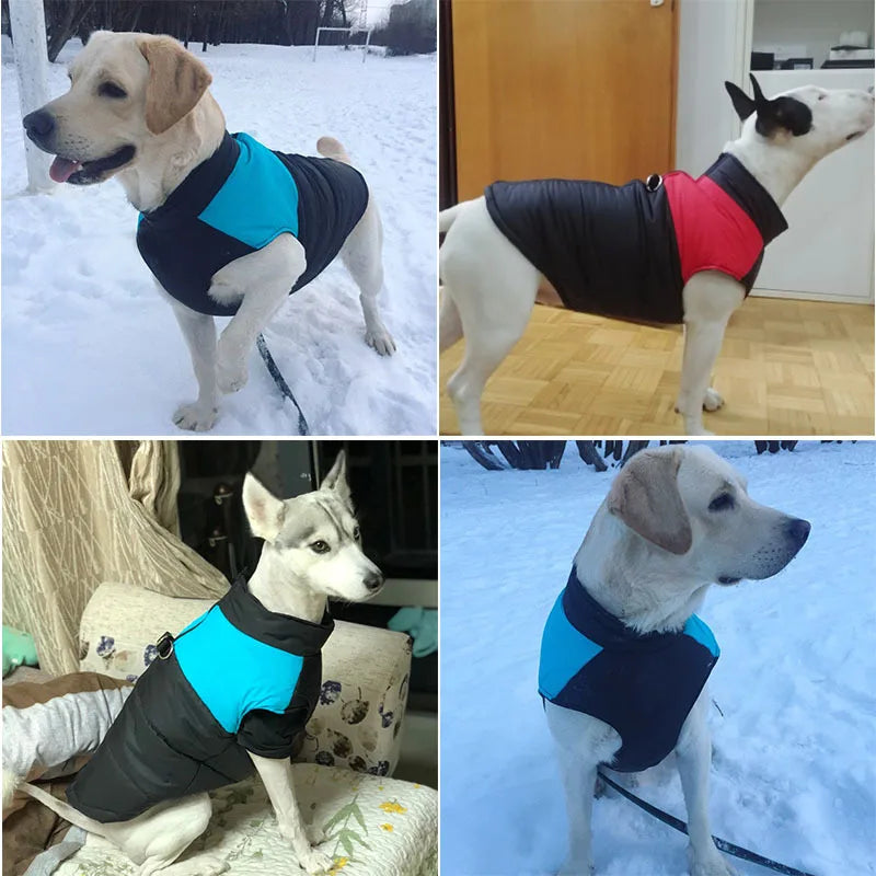 Dog Jackets For German Shepherd