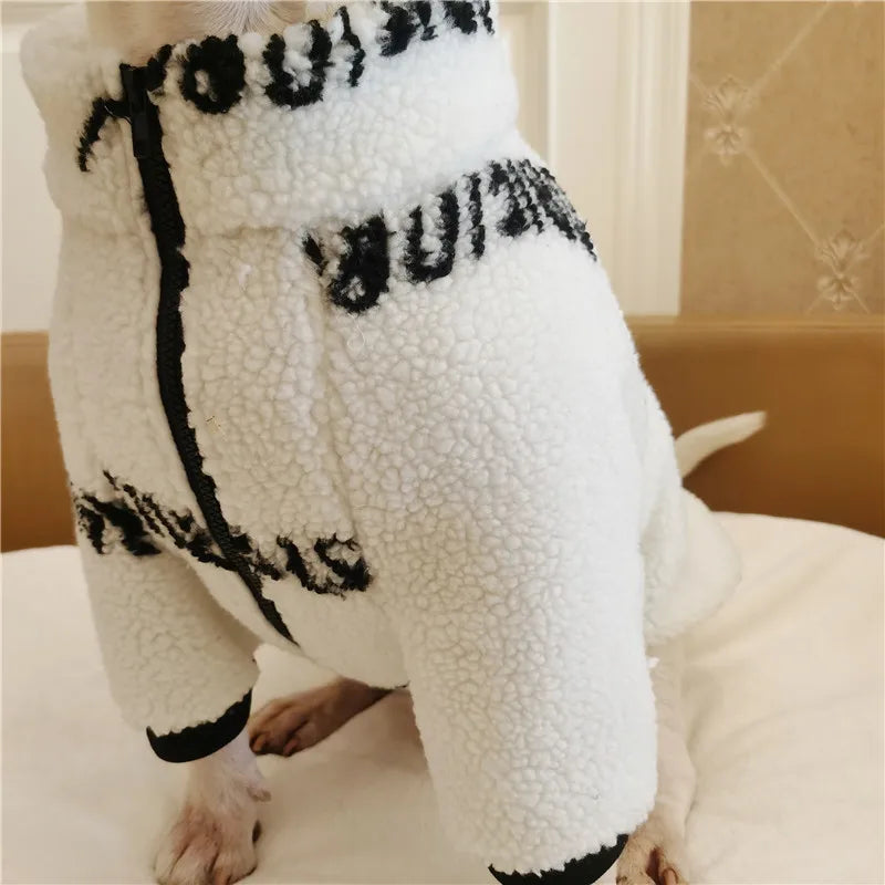 Bull Terrier Winter Coat