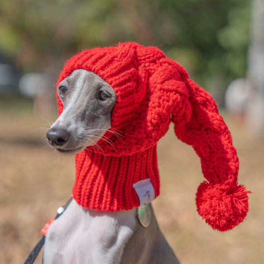 Whippet Winter Woolen Hat