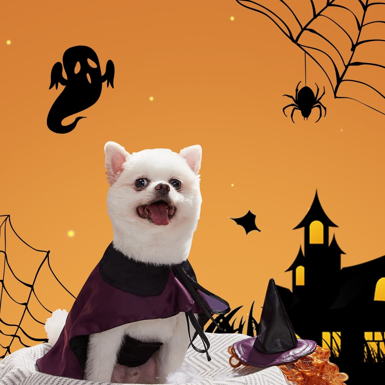 Dog Halloween Witch Cloak Cape