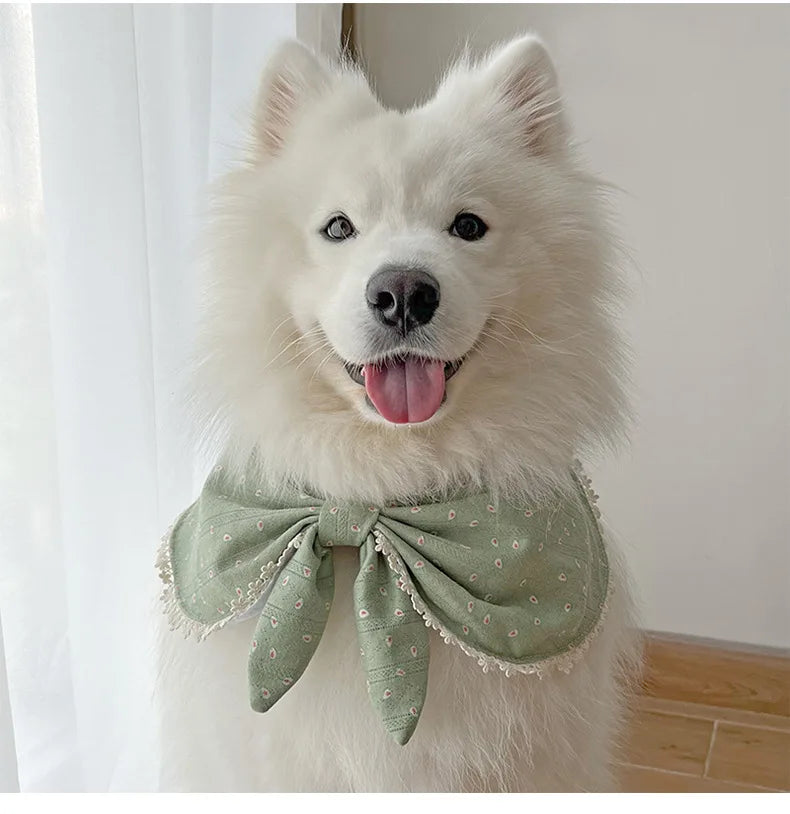 Cute Dog Triangle Scarf