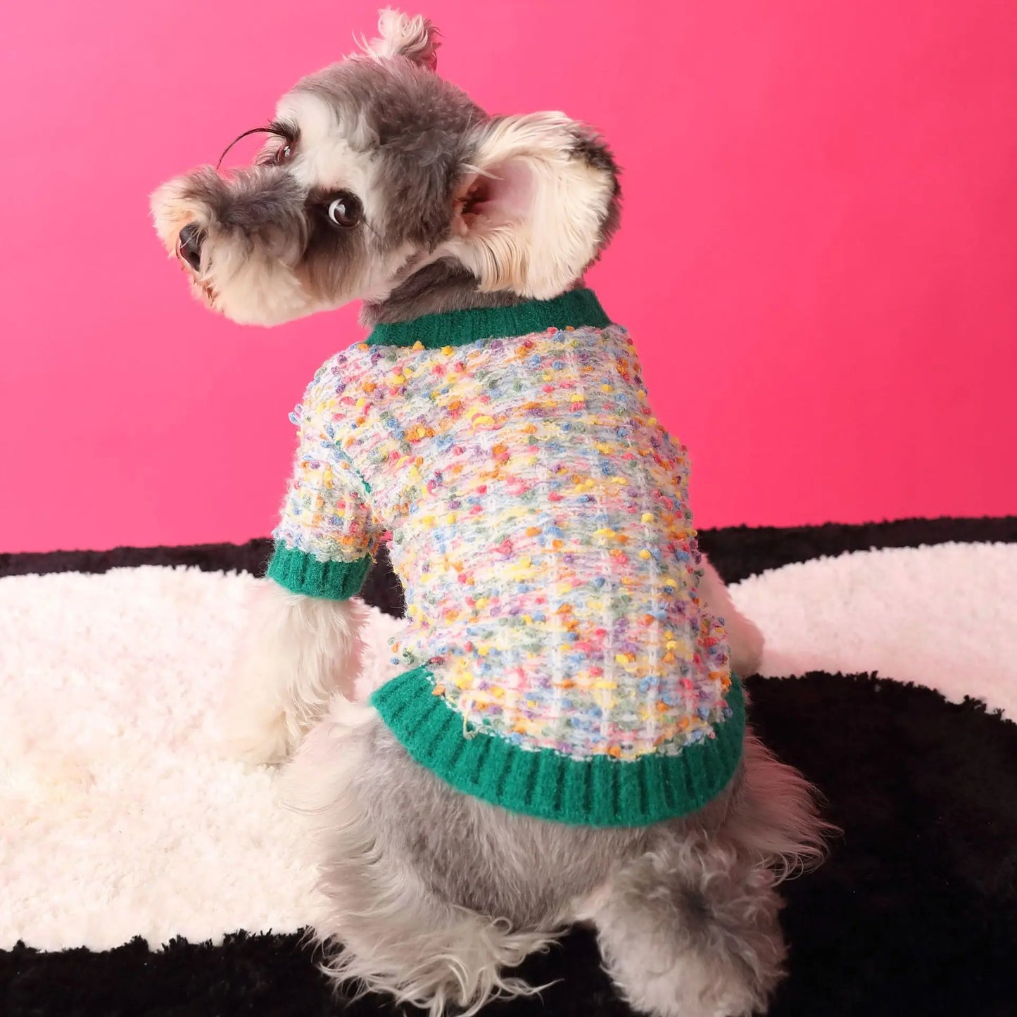 Schnauzer Winter Designer Sweater