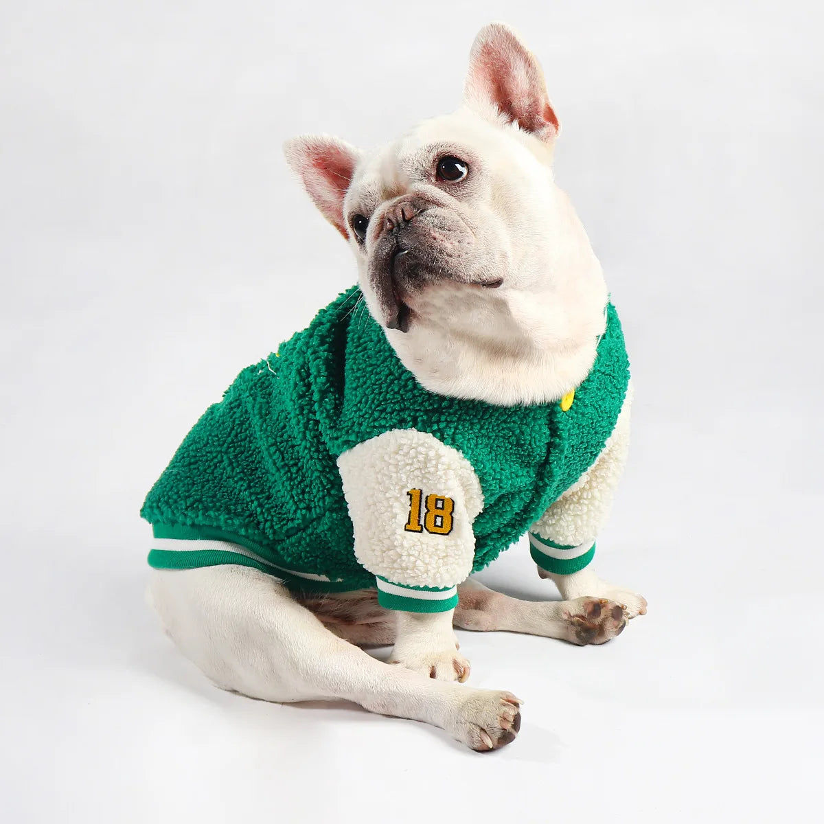 Baseball Jacket For French Bulldog