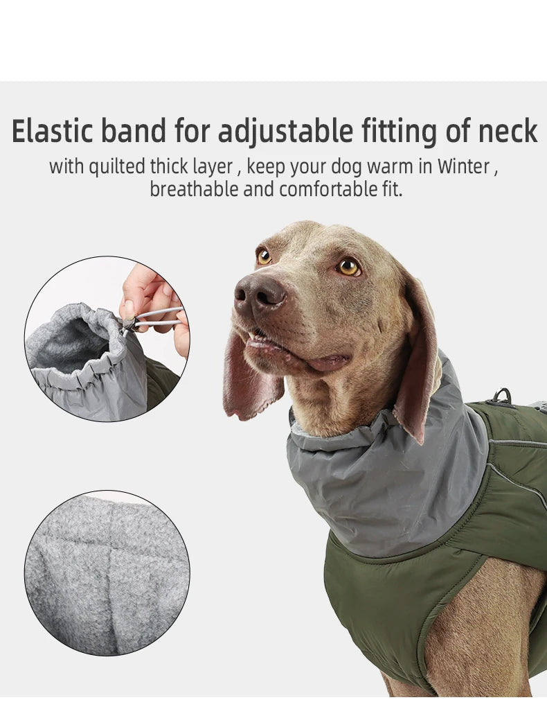 Weimaraner High collar Winter Dress