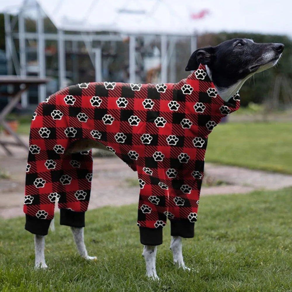 Whippet Paw Colorful Sweater