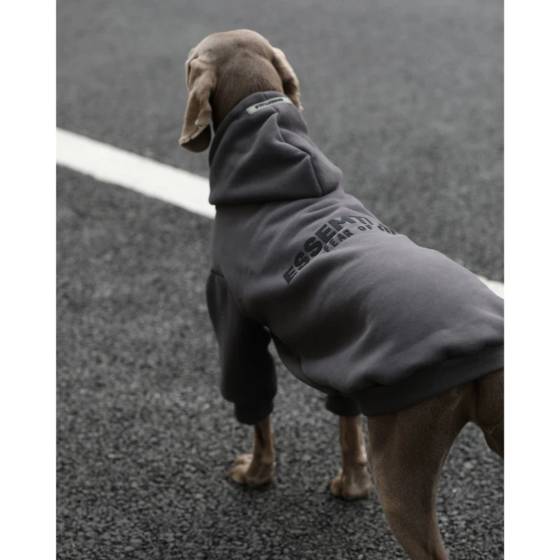 Weimaraner Fall Winter Hoodie