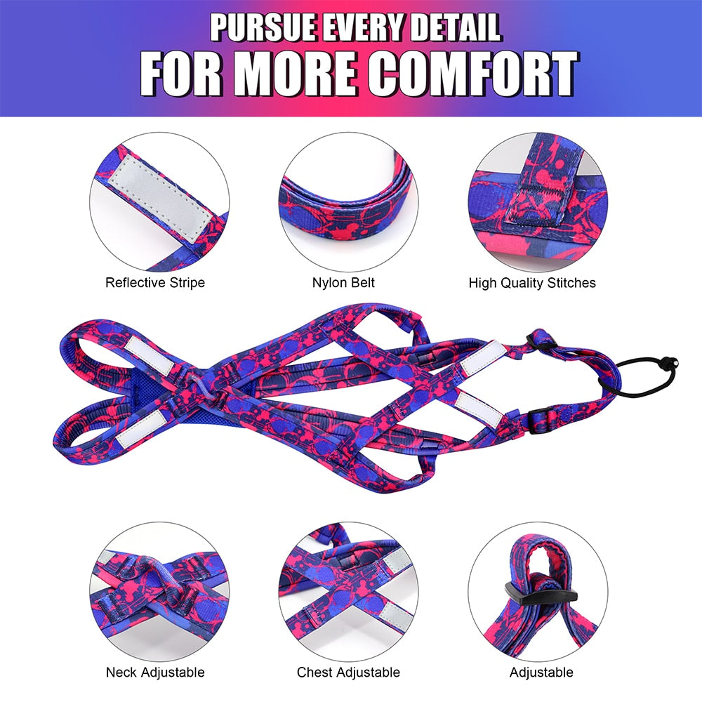 Sled Dog Harness