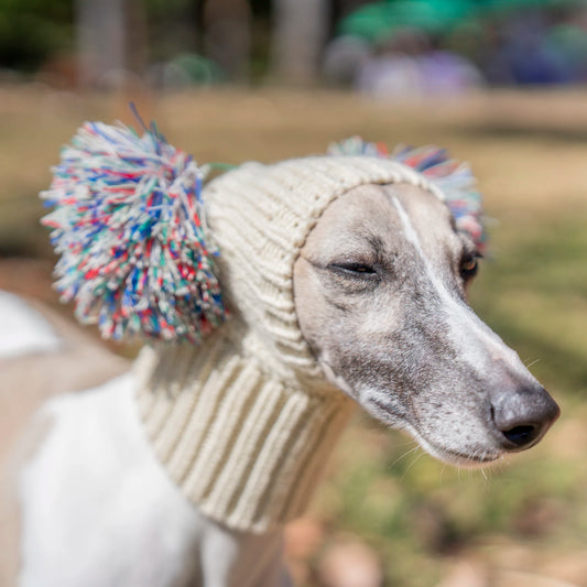 Whippet elastic Winter Hat