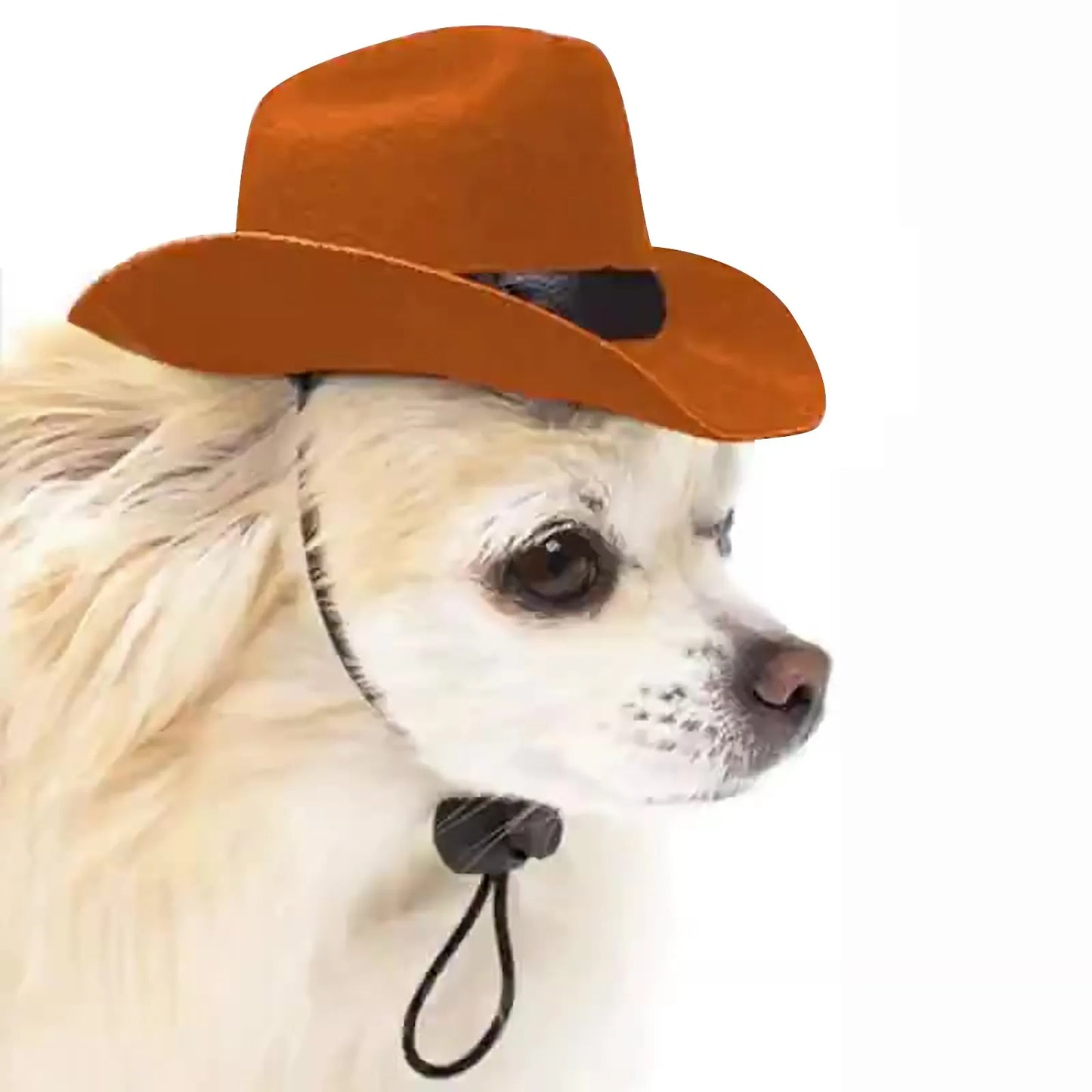 Basset Hound Cowboy Hat