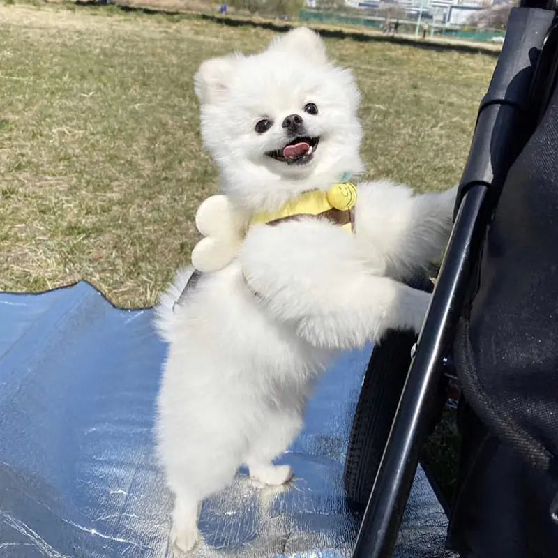 Bee Style Dog Harness