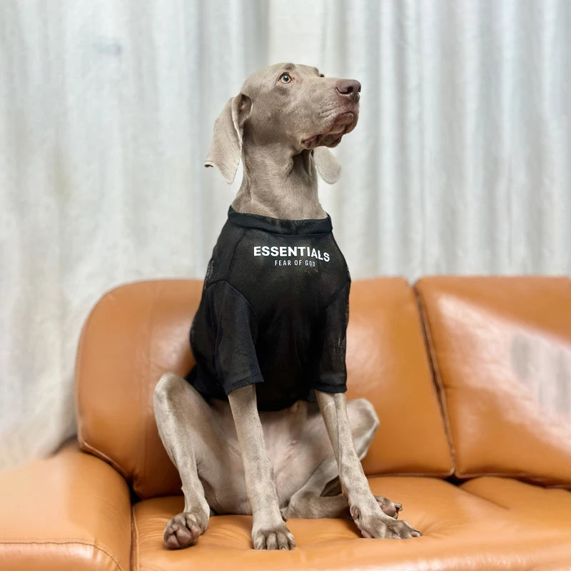 Weimaraner Thin Summer Dress