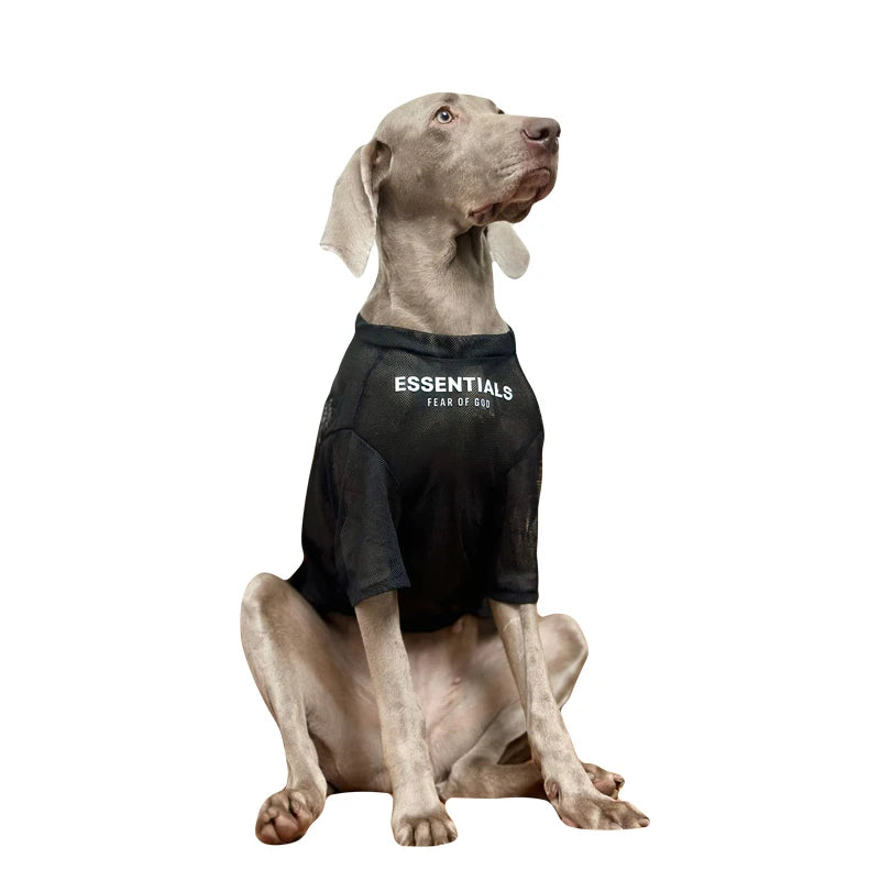 Weimaraner Thin Summer Dress