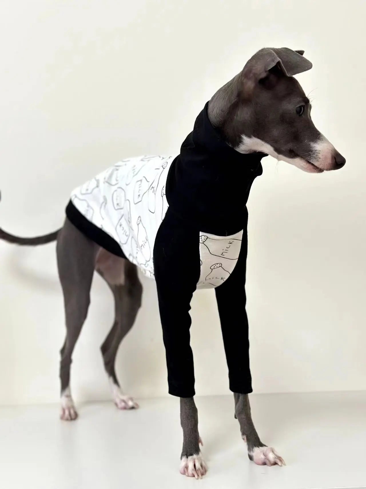 Whippet High Collar Sweater