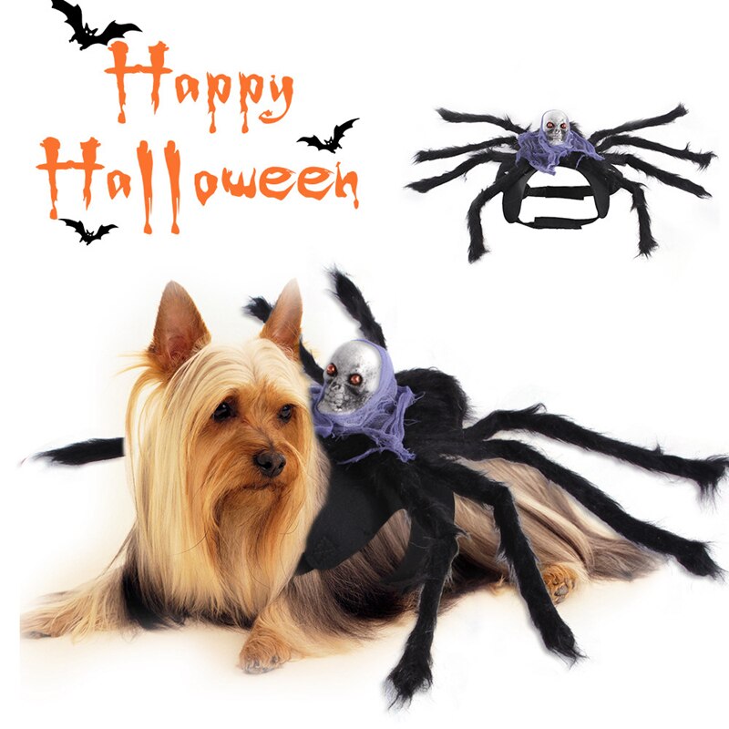 Dogs Halloween Spider Costume