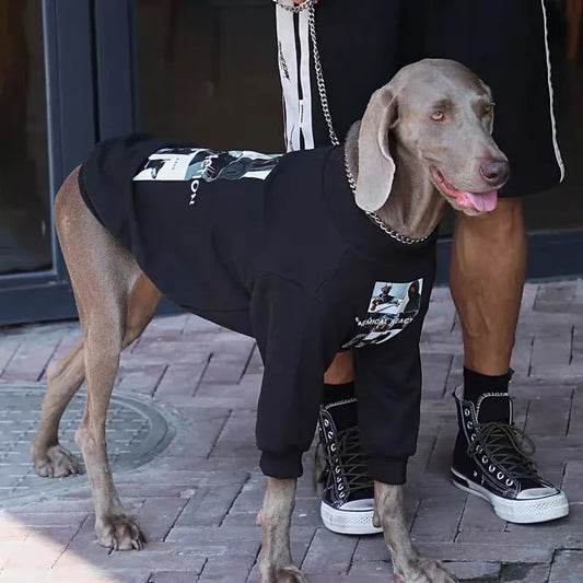 Weimaraner Warm Luxury Sweatshirt