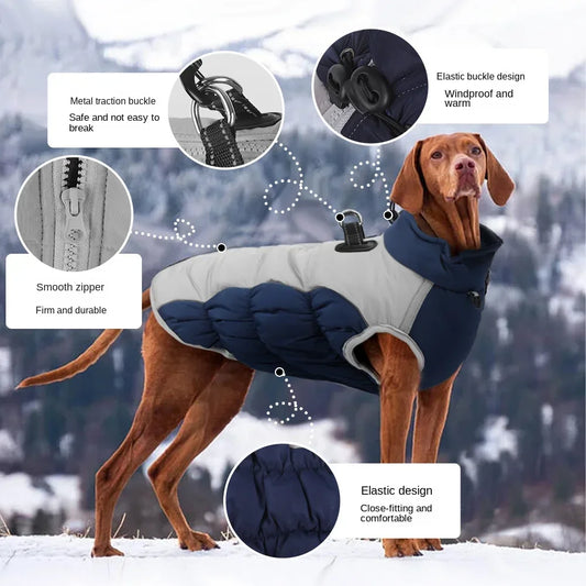 Windproof Vizsla Winter Jacket