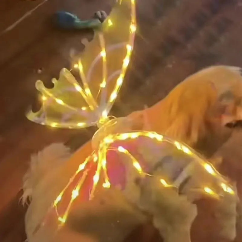 Dog Butterfly Lightning Wings