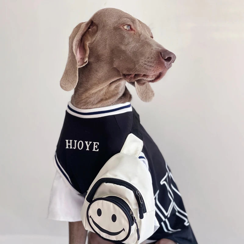 Weimaraner Stylish Outfits & Bags