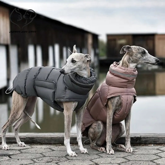 Whippet Adjustable Winter Jacket