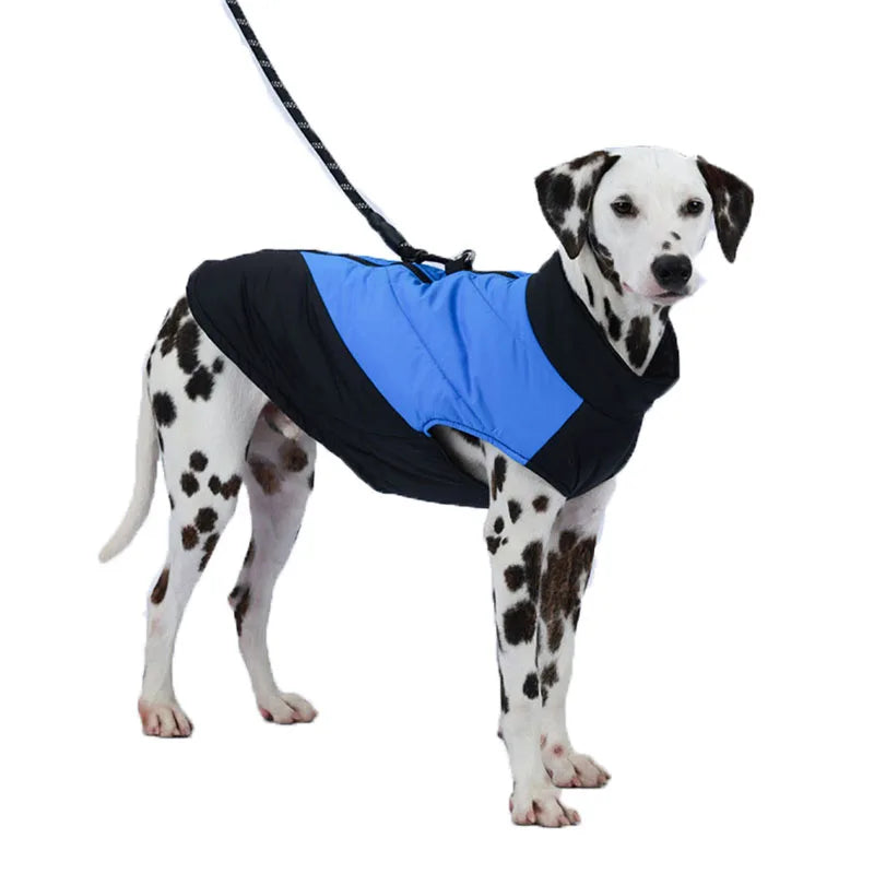 Dalmatian Waterproof Winter Jacket