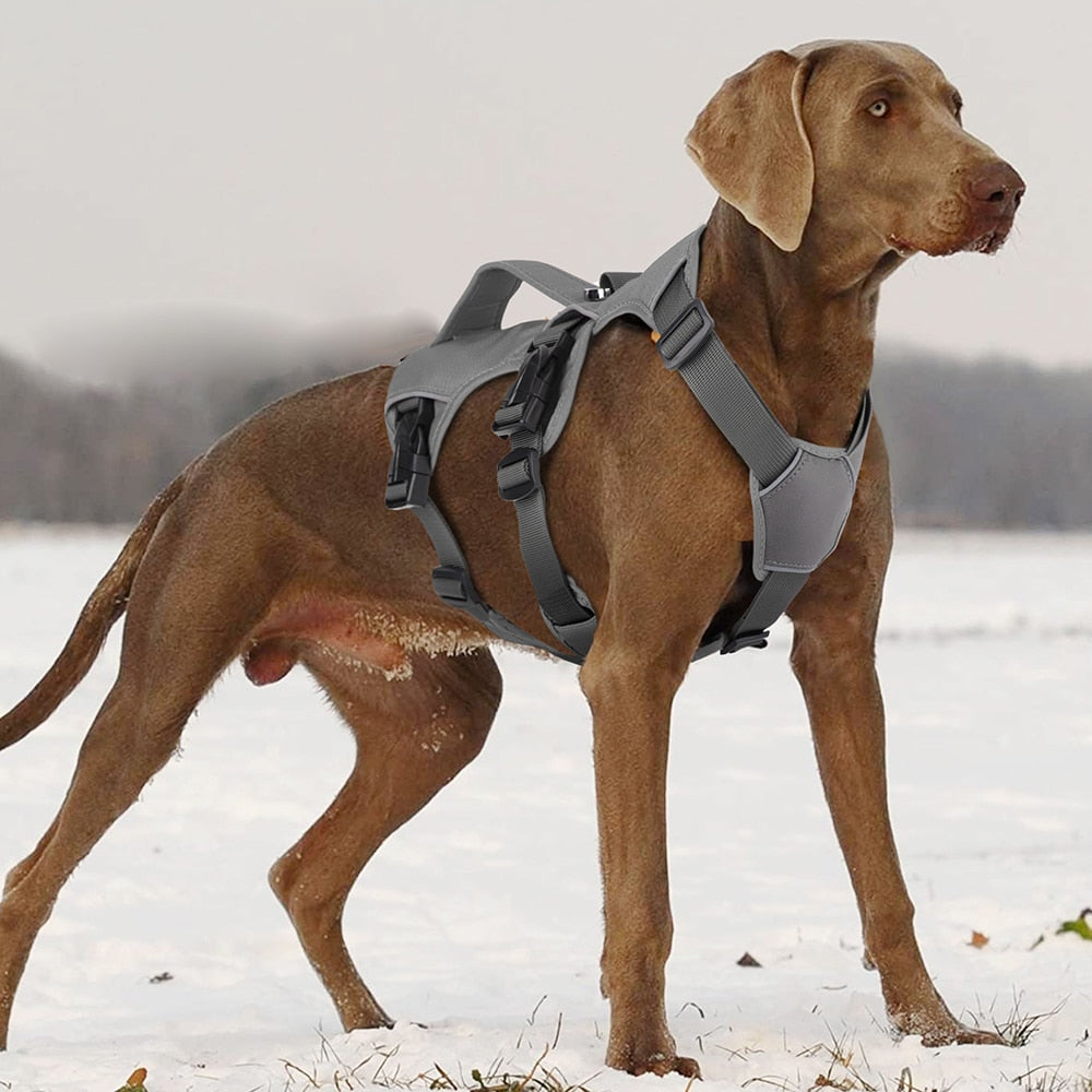 Dog Harness Vest