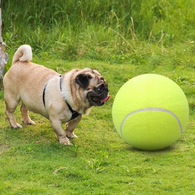 Giant Tennis Ball For Dog